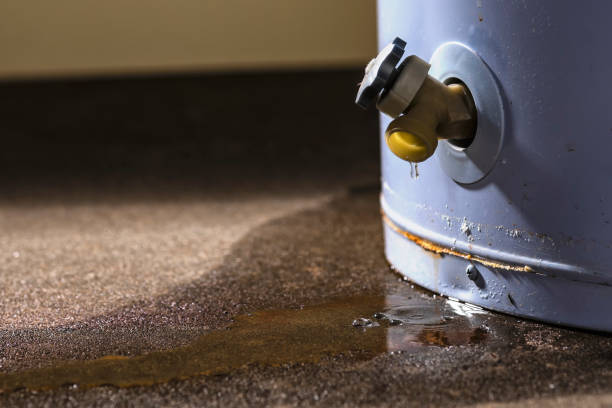 Best Water damage repair service  in Perry, OK