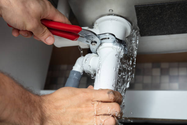 Best Professional water damage repair  in Perry, OK