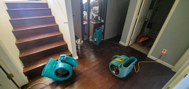 Best Sewage cleanup and water damage restoration  in Perry, OK