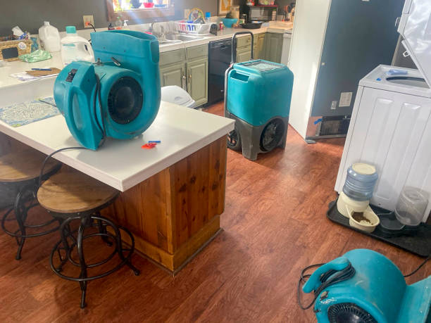 Best Carpet water damage restoration  in Perry, OK