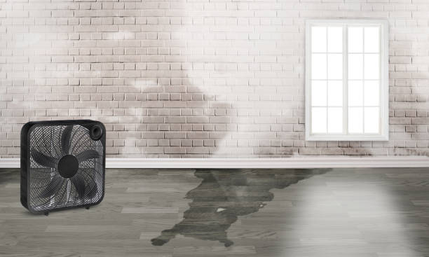 Water damage restoration experts in Perry, OK