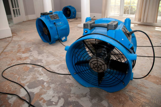 Trusted Perry, OK Water damage restoration Experts