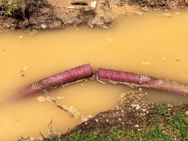 Best 24/7 water damage repair  in Perry, OK