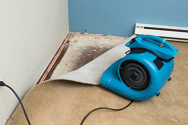 Best Water damage restoration near me  in Perry, OK
